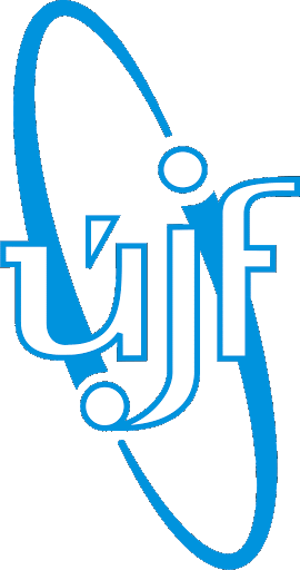 Nuclear Physics Institute